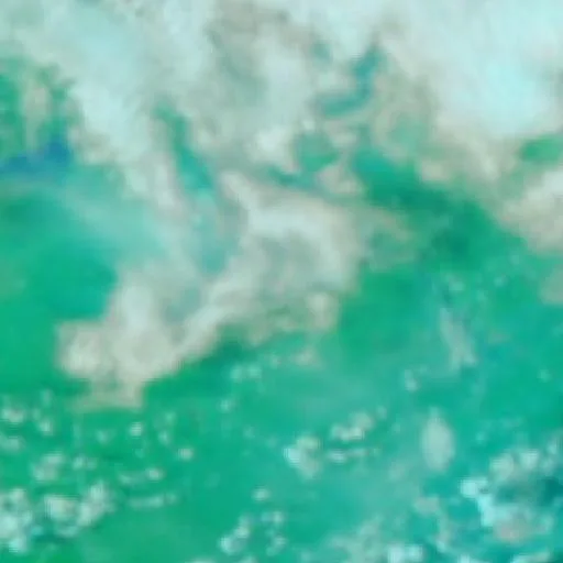 Wildfire near Careiro (Oct 11) — NASA satellite