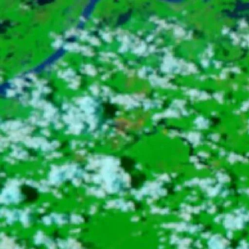 Incendio cerca de Careiro — NASA satellite