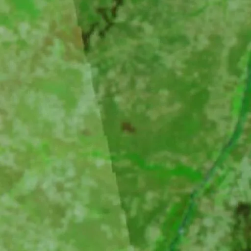 Incendio cerca de Carinhanha — NASA satellite