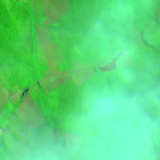 Wildfire near Caripé (Aug 19) — Sentinel-2 SWIR (fuego)