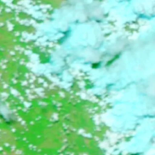 Wildfire near Carnaubal — NASA satellite