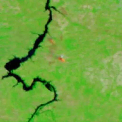 Wildfire near Carolina — NASA satellite