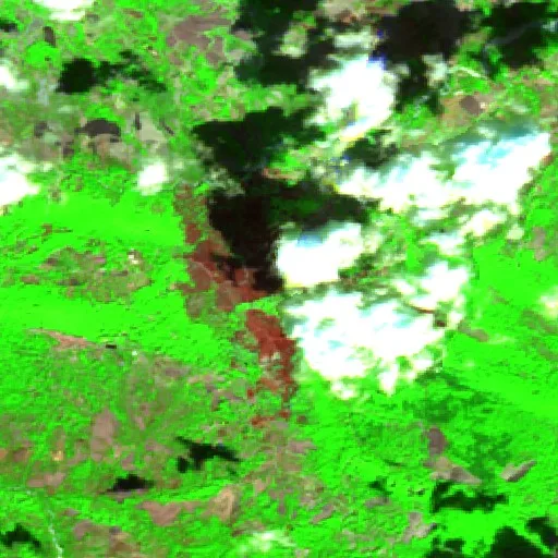 Wildfire near Carpineto Sinello — Sentinel-2 SWIR (fuego)