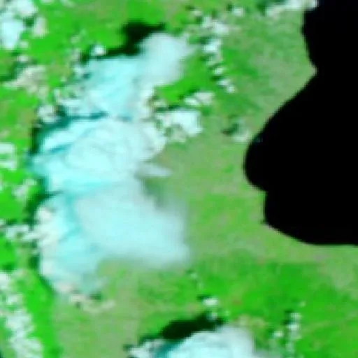 Wildfire near Cassano all'Ionio (Aug 7) — NASA satellite