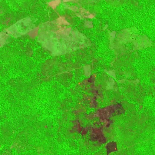 Incendio cerca de Castelo dos Sonhos (20 ago · W) — Sentinel-2 SWIR (fuego)