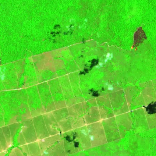 Wildfire near Castelo dos Sonhos (Sep 19) — Sentinel-2 SWIR (fuego)