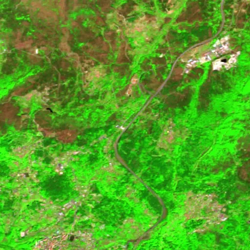 Wildfire near Castro Daire — Sentinel-2 SWIR (fuego)