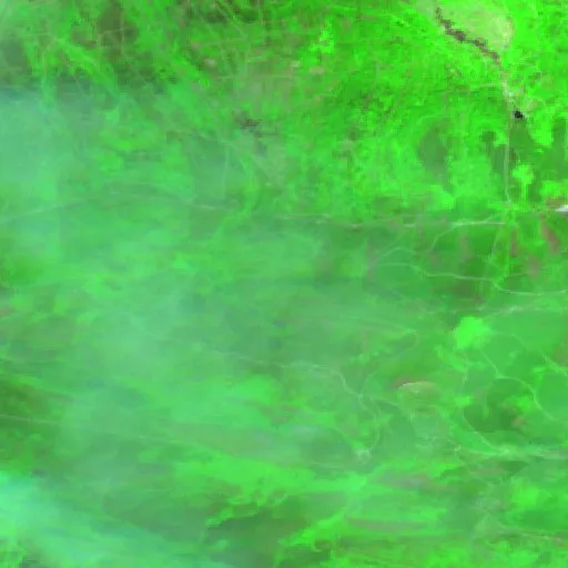 Wildfire near Castropodame (Jul 23) — Sentinel-2 SWIR (fuego)