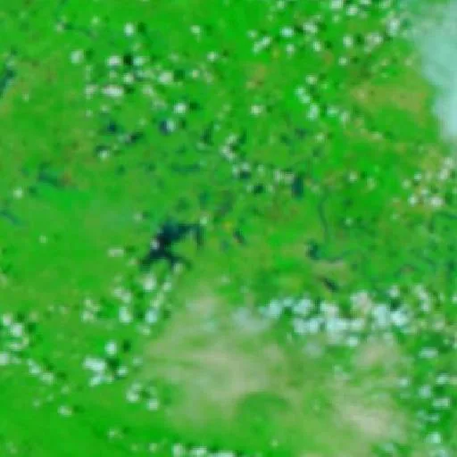 Wildfire near Catazajá — NASA satellite