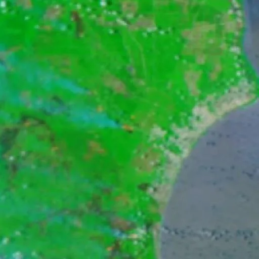 Incendio cerca de Cengal — NASA satellite
