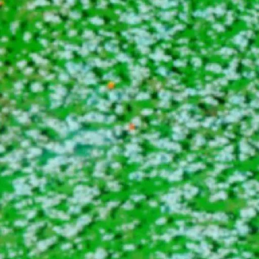 Incendio cerca de Central (1 oct) — NASA satellite
