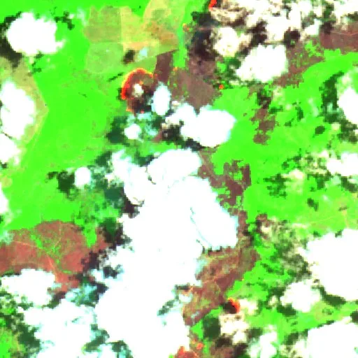 Wildfire near Central — Sentinel-2 SWIR (fuego)
