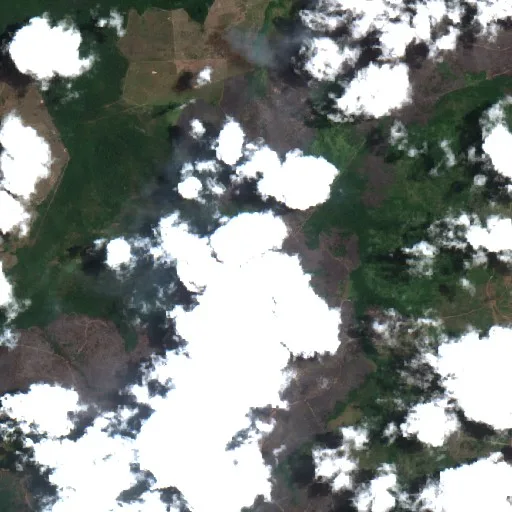 Wildfire near Central — Sentinel-2 true color