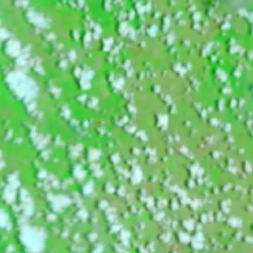 Wildfire near Centro Novo do Maranhão — NASA satellite