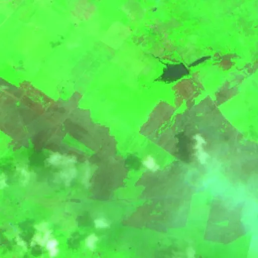 Wildfire near Céspedes — Sentinel-2 SWIR (fuego)