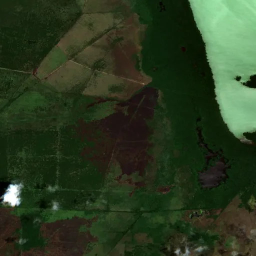 Wildfire near Chambas — Sentinel-2 true color
