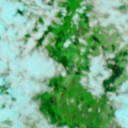 Wildfire near Chaparral — NASA satellite