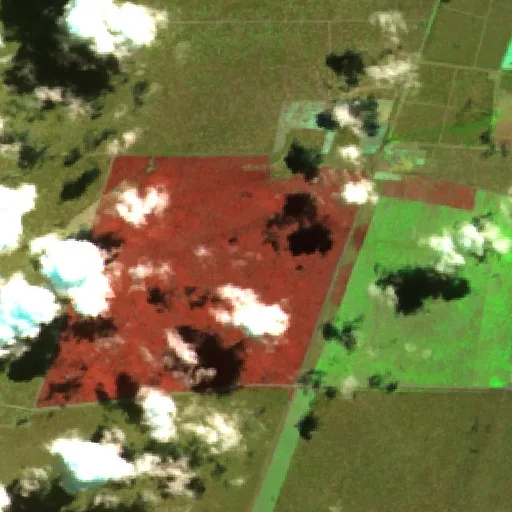 Incendio cerca de Charlone — Sentinel-2 SWIR (fuego)