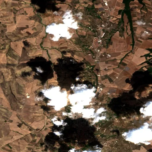 Incendio cerca de Chieuti (20 ago) — Sentinel-2 true color