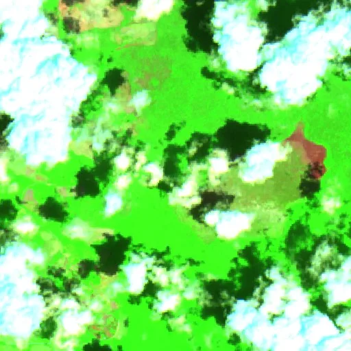 Wildfire near Chunchintok — Sentinel-2 SWIR (fuego)
