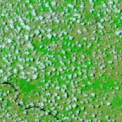 Incendio cerca de Cidelândia — NASA satellite