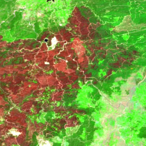 Incendio cerca de Çine — Sentinel-2 SWIR (fuego)