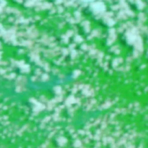 Wildfire near Cipoal — NASA satellite