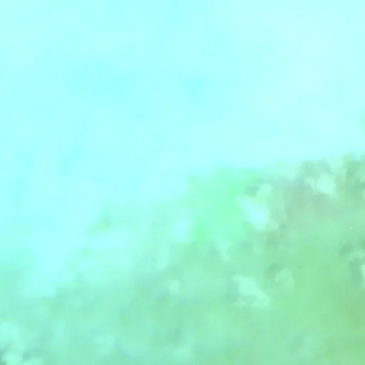 Incendio cerca de City of Freeport — Sentinel-2 SWIR (fuego)