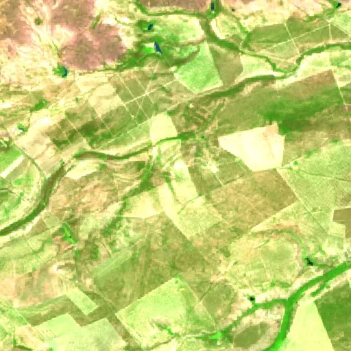 Incendio cerca de Ciudad Sabinas Hidalgo — Sentinel-2 SWIR (fuego)