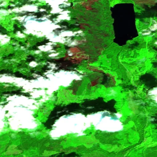 Incendio cerca de Clearwater — Sentinel-2 SWIR (fuego)