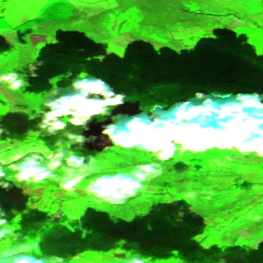 Wildfire near Clifford — Sentinel-2 SWIR (fuego)