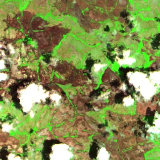 Wildfire near Coeroeni — Sentinel-2 SWIR (fuego)
