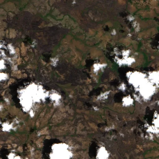 Wildfire near Coeroeni — Sentinel-2 true color