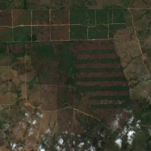 Wildfire near Colniza (Aug 23) — Sentinel-2 true color