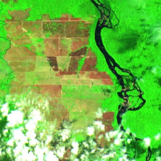 Wildfire near Colniza (Aug 30) — Sentinel-2 SWIR (fuego)