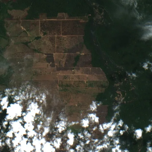 Wildfire near Colniza (Aug 30) — Sentinel-2 true color