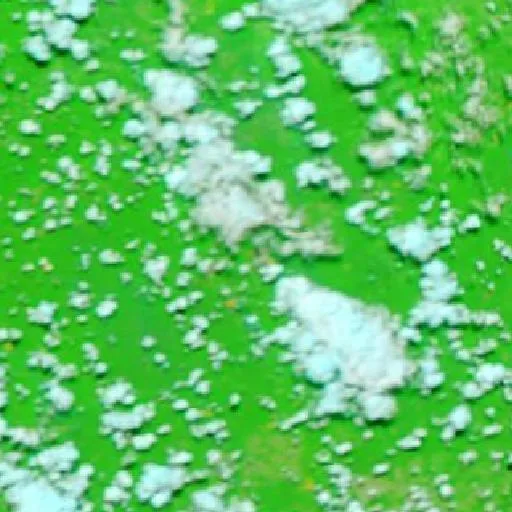 Wildfire near Colocação Boa Sorte — NASA satellite