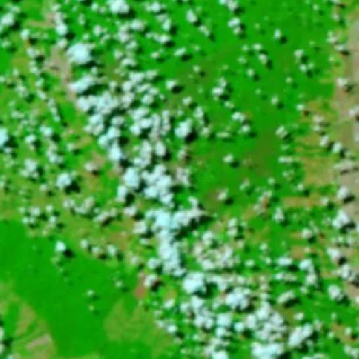Incendio cerca de Comodoro — NASA satellite