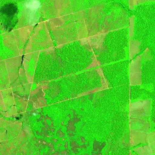 Wildfire near Comunidade Vila Maravilha (Sep 21) — Sentinel-2 SWIR (fuego)