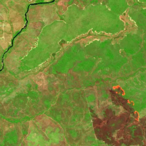 Wildfire near Conceição do Tocantins (Aug 11) — Sentinel-2 SWIR (fuego)