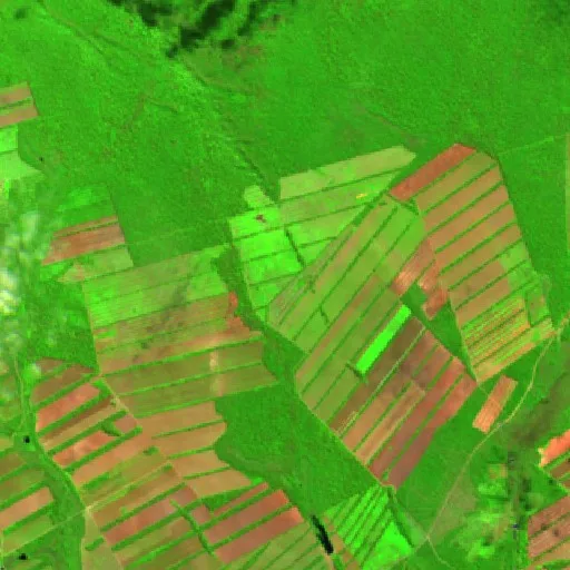 Wildfire near Concepción (Jul 22) — Sentinel-2 SWIR (fuego)