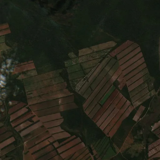 Wildfire near Concepción (Jul 22) — Sentinel-2 true color
