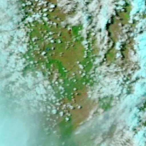Consuelo Bushfire — NASA satellite