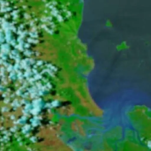Coowonga Bushfire — NASA satellite