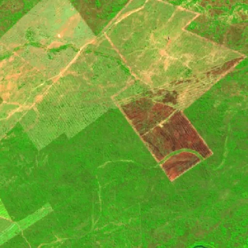 Wildfire near Corumbá — Sentinel-2 SWIR (fuego)