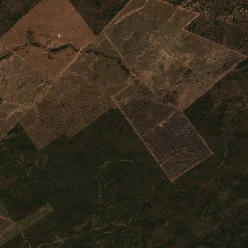 Wildfire near Corumbá — Sentinel-2 true color