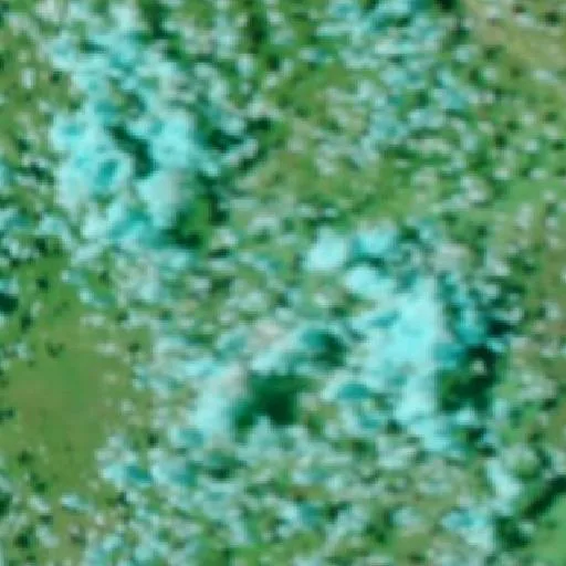 Croydon Bushfire — NASA satellite