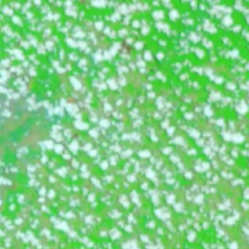 Incendio cerca de Cumarumã (10 oct · SE) — NASA satellite