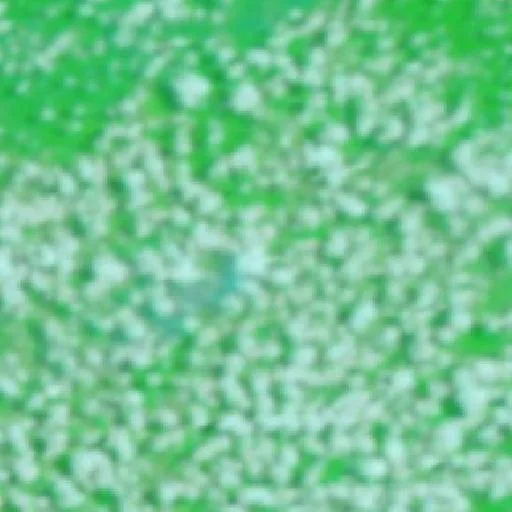Incendio cerca de Cumarumã — NASA satellite