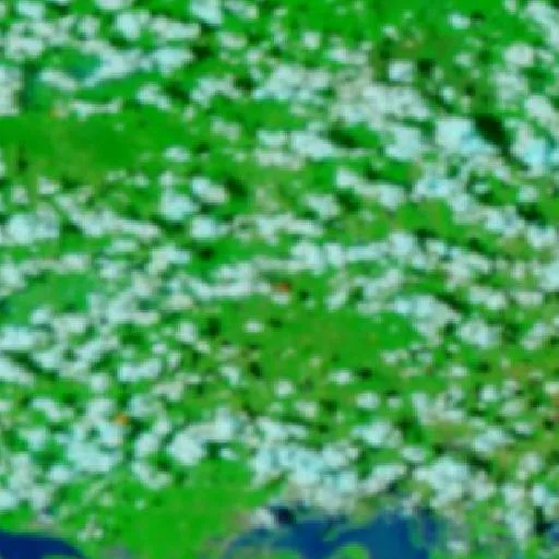 Wildfire near Curuá — NASA satellite